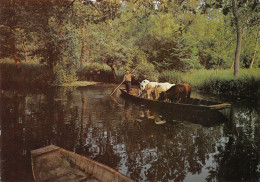 79-MARAIS POITEVIN-N°4015-D/0291 - Sonstige & Ohne Zuordnung