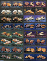 Cook Islands 1974 Shells 16 Imperforated Pairs, Mint NH, Nature - Shells & Crustaceans - Maritiem Leven