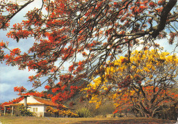 972-MARTINIQUE-N°4016-C/0277 - Sonstige & Ohne Zuordnung