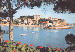 83-BANDOL-N°4016-B/0397 - Bandol