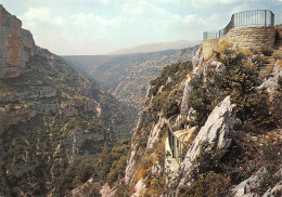 84-GORGES DE LA NESQUE-N°4016-B/0391 - Autres & Non Classés