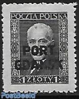 Poland 1929 Port Gdansk With 16 Lines., Unused (hinged) - Ungebraucht