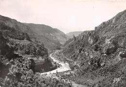 48-GORGES DU TARN  -N°4016-B/0195 - Gorges Du Tarn