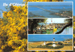 17-ILE D OLERON-N°4016-B/0123 - Ile D'Oléron