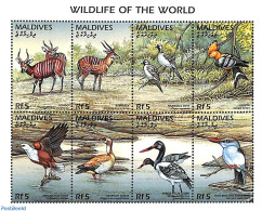 Maldives 1996 Wildlife Of The World 8v M/s, Mint NH, Nature - Animals (others & Mixed) - Birds - Ducks - Kingfishers - Malediven (1965-...)