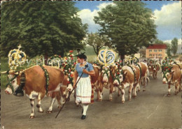 71606422 Tegernsee Almabtrieb Tracht Tegernsee - Tegernsee