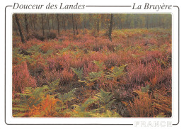 40-LES LANDES-N°4017-A/0361 - Andere & Zonder Classificatie