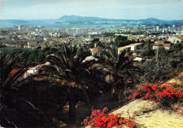 83-TOULON-N°4017-A/0077 - Toulon