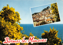 83-BORMES LES MIMOSAS-N°4017-C/0387 - Bormes-les-Mimosas