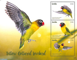 Gambia 2020 Yellow-Collared Lovebird 3v M/s, Mint NH, Nature - Birds - Parrots - Gambia (...-1964)