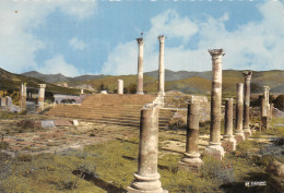 MAR-VOLUBILIS-N°4017-C/0237 - Autres & Non Classés