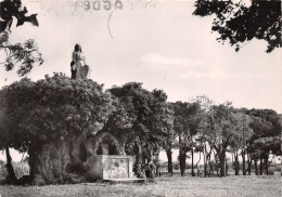 34-NOTRE DAME DU GRAU-N°4017-C/0107 - Autres & Non Classés