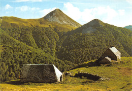 15-MONTS DU CANTAL-N°4017-C/0083 - Otros & Sin Clasificación