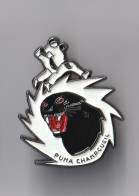 PIN'S THEME SPORT  JUDO  CHAMPCUEIL  EN ESSONNE   PUMA   LOGO - Judo