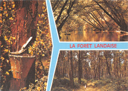 40-FORET LANDAISE-N°4017-B/0397 - Andere & Zonder Classificatie