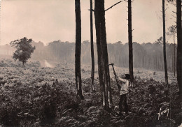 40-LANDES DE GASCOGNE-N°4017-B/0387 - Autres & Non Classés