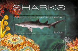 Micronesia 2011 Sharks S/s, Mint NH, Nature - Fish - Sharks - Fishes