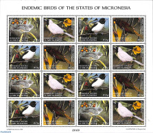Micronesia 1998 Birds M/s, Mint NH, Nature - Birds - Micronésie