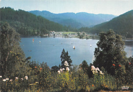 88-GERARDMER-N°4018-A/0083 - Gerardmer