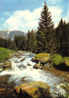 24-LA DORDOGNE ET LE MASSIF DU SANCY-N°4018-A/0081 - Sonstige & Ohne Zuordnung