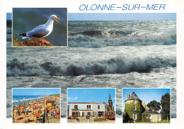 85-OLONNE SUR MER-N°4018-A/0017 - Altri & Non Classificati