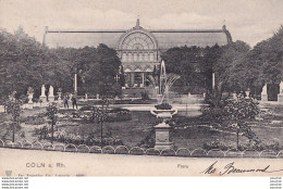 Y5- COLN A. RH - FLORA  - ( OBLITERATION DE 1904 - 2 SCANS ) - Köln