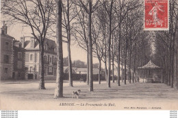 Y12-37) AMBOISE - LA PROMENADE DU MAIL  - Amboise