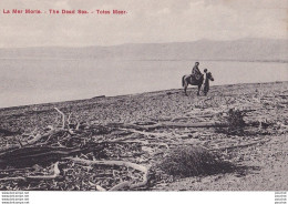 Y15- ISRAEL - PALESTINE - LA MER MORTE - THE DEAD SEA - TOTES MER  - ( ANIMEE  - JUDAICA  - 2 SCANS ) - Israel