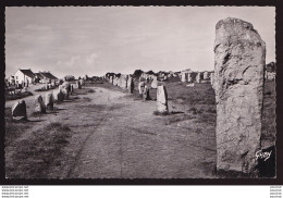 Y16-56) CARNAC (MORBIHAN) ALIGNEMENTS DE MENEC - ( 2 SCANS ) - Carnac