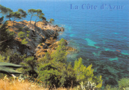 83-LA COTE-N°4018-C/0181 - Autres & Non Classés