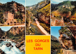 48-LES GORGES DU TARN-N°4018-C/0041 - Other & Unclassified