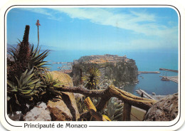 06-MONACO-N°4019-B/0033 - Autres & Non Classés