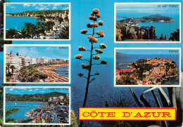 06-COTE D AZUR-N°4019-B/0031 - Other & Unclassified