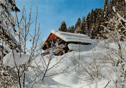 74-MONTAGNE CHALET-N°4019-A/0005 - Autres & Non Classés