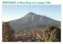 972-MARTINIQUE LE MORNE ROUGE-N°4019-D/0225 - Other & Unclassified