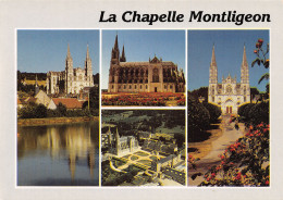 61-LA CHAPELLE MONTLIGEON-N°4019-D/0207 - Other & Unclassified