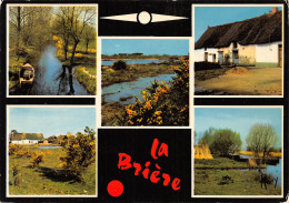 44-LA BRIERE-N°4019-D/0073 - Other & Unclassified