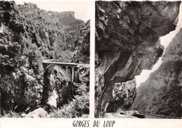 06-GORGES DU LOUP-N°4019-C/0297 - Other & Unclassified