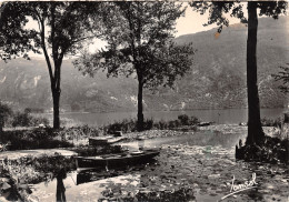 73-LAC D AIGUEBELETTE-N°4019-C/0255 - Autres & Non Classés