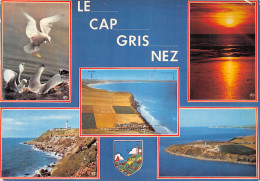 62-LE CAP GRIS NEZ-N°4019-B/0365 - Sonstige & Ohne Zuordnung