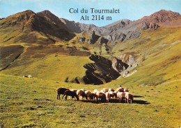 65-COL DU TOURMALET-N°4019-B/0221 - Sonstige & Ohne Zuordnung