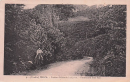 Viêt Nam - TONKIN - CHAPA - Promenade Sous Bois - 1928 - Viêt-Nam