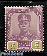 Malaysia 1910 Johore, 5c, WM Multiple Rose, Stamp Out Of Set, Unused (hinged) - Andere & Zonder Classificatie