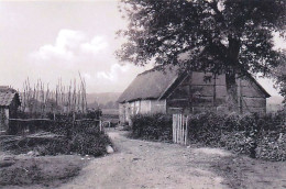  Namur -  Houyet - HERHET - Vallée De La Lesse - Houyet