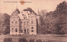 Waasmunster - Chateau - Kasteel  " Blauwhof " - Waasmunster