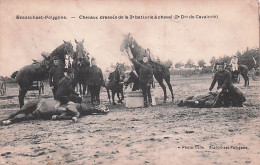 BRASSCHAAT - BRASSCHAET - POLYGONE -  Chevaux Dressés De La 3e Batterie à Cheval ( 2eme Division De Cavalerie )  - Brasschaat