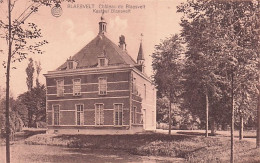 Willebroek - BLAASVELD - Château De Blaesvelt - Kasteel Blaesvelt - Willebrök