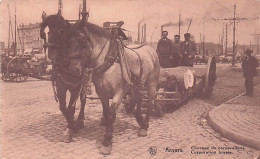 ANTWERPEN - ANVERS - Chevaux De Corporations - 1924 - Antwerpen