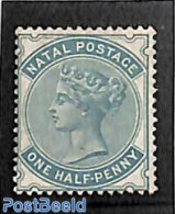 Natal 1882 Queen Victoria 1/2d, Bluegreen 1v, Unused (hinged) - Natal (1857-1909)