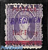 Natal 1895 Half Penny Overprint, SPECIMEN, Unused (hinged) - Natal (1857-1909)
